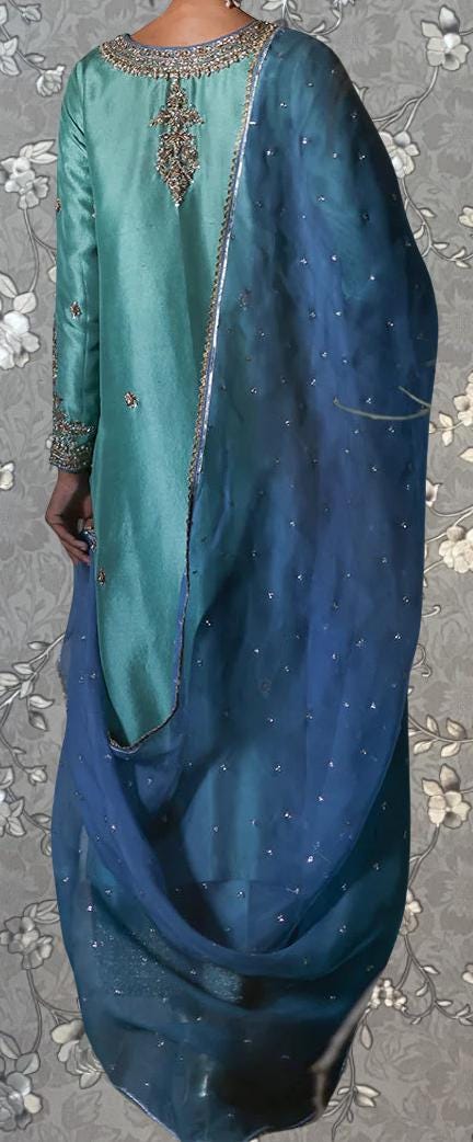 a person wearing a long, flowing dress with a blue and green color scheme. The dress has a sheer blue fabric draped over the person's body, and the back of the dress features a green embroidered design. The background is a gray floral pattern.