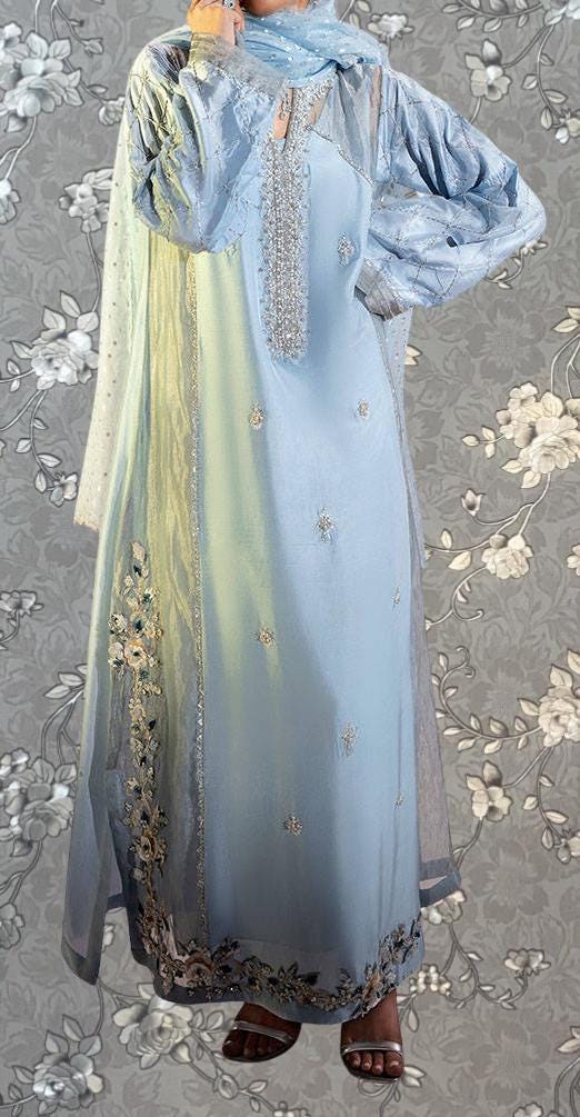 A person wearing a long, light blue dress with intricate embroidery and floral patterns, standing against a gray floral background.