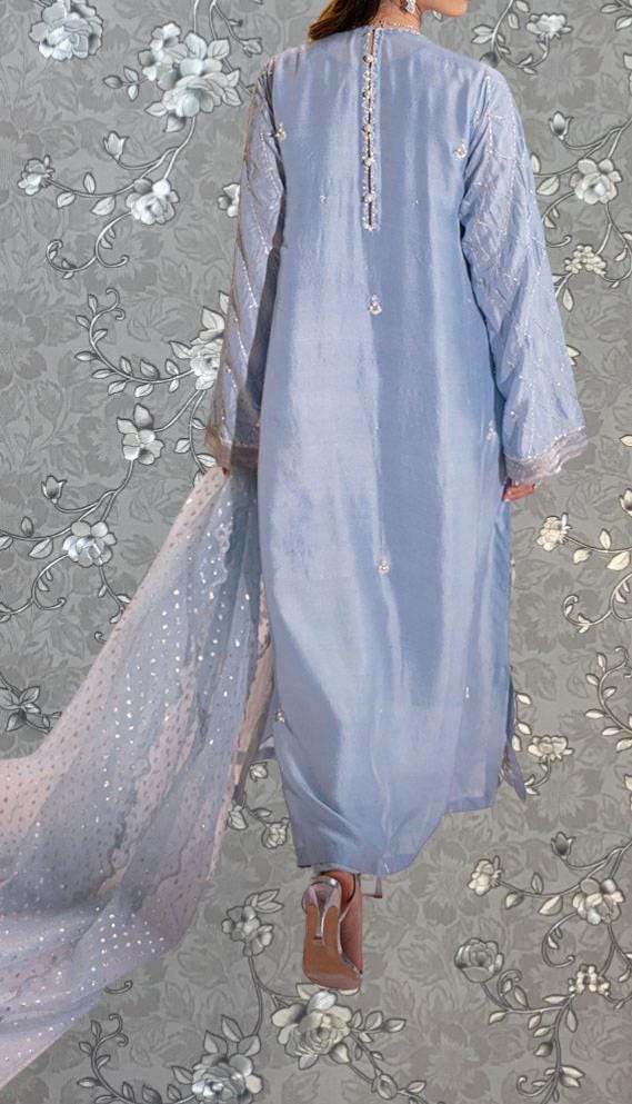a person wearing a long, light blue dress with a sheer, lace-like skirt. The dress has a high collar and long sleeves, and the person is standing against a gray floral background.