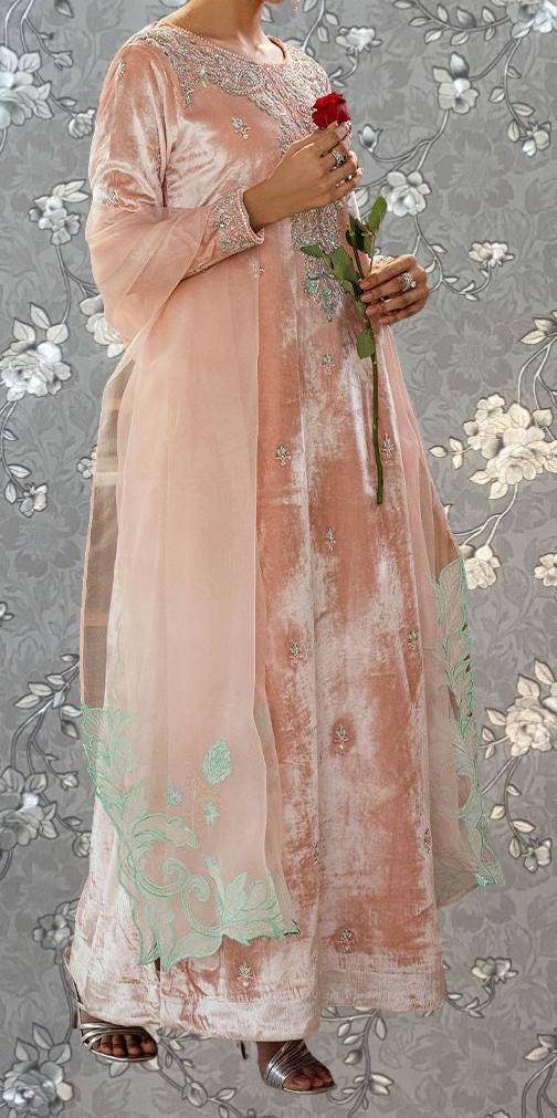 A woman wearing a long, peach-colored dress with intricate embroidery stands against a gray floral background, holding a single red rose.