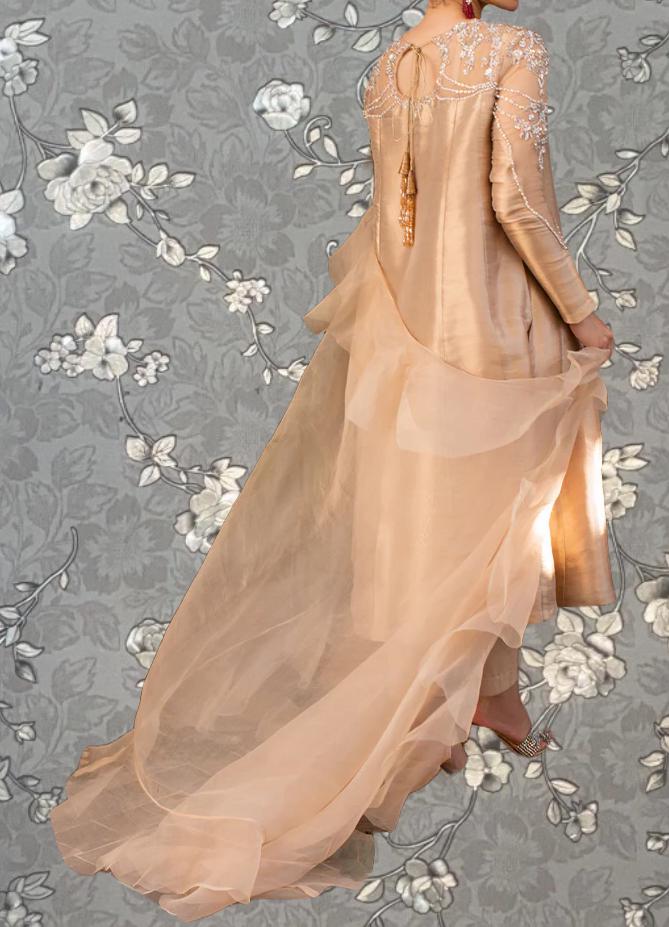 A woman wearing a long, flowing dress with a sheer, light pink fabric and a train trailing behind her.