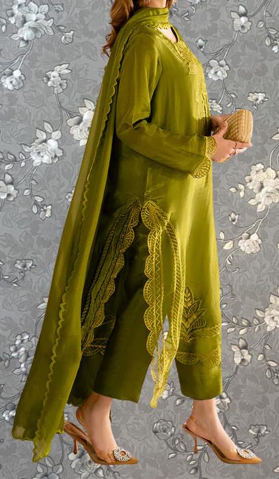 A woman wearing a green dress with intricate embroidery and a matching green shawl, standing against a gray floral background.