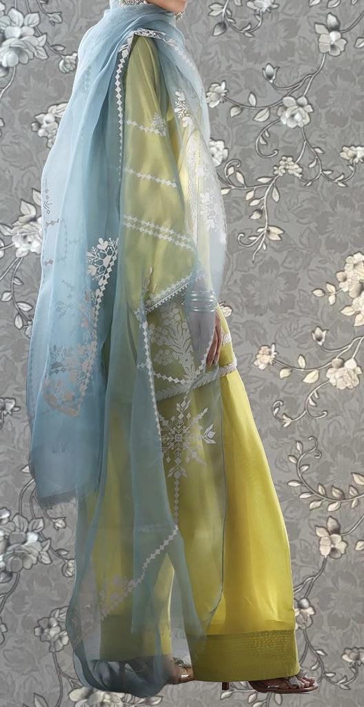 A person wearing a yellow and blue dress with intricate embroidered patterns, standing against a gray floral background.